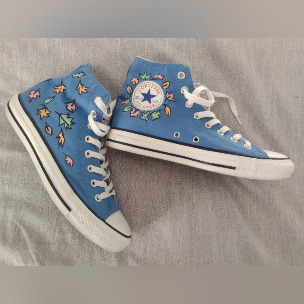 Heartstopper hand painted Converse high tops